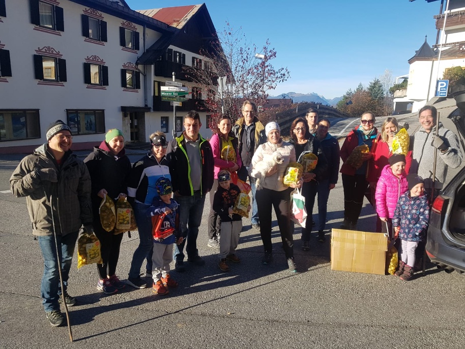 201891110 Narzissen 2 201891110 Narzissen 2